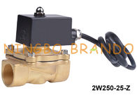 1'' 전 증거 물 금관 악기 솔레노이드 밸브 2 방법 일반적으로 닫히는 24V 220V