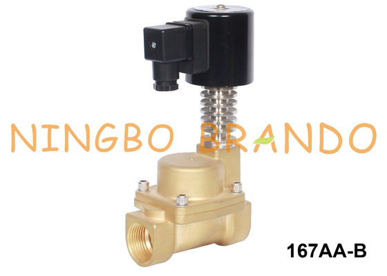 3/8'' 1/2'' 3/4'' 1'' 온수 황동 솔레노이드 밸브 12V 24V 110V 220V